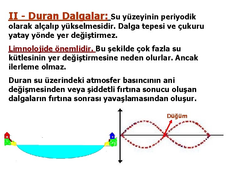 II - Duran Dalgalar: Su yüzeyinin periyodik olarak alçalıp yükselmesidir. Dalga tepesi ve çukuru