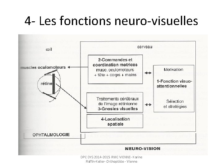 4 - Les fonctions neuro-visuelles DPC DYS 2014 -2015 RMC VIENNE- Karine Raffin-Keller- Orthoptiste