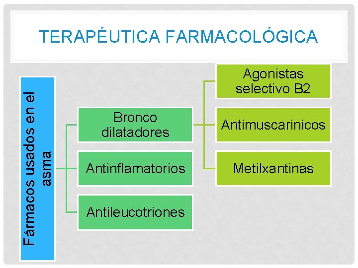 Fármacos usados en el asma TERAPÉUTICA FARMACOLÓGICA Agonistas selectivo B 2 Bronco dilatadores Antimuscarinicos