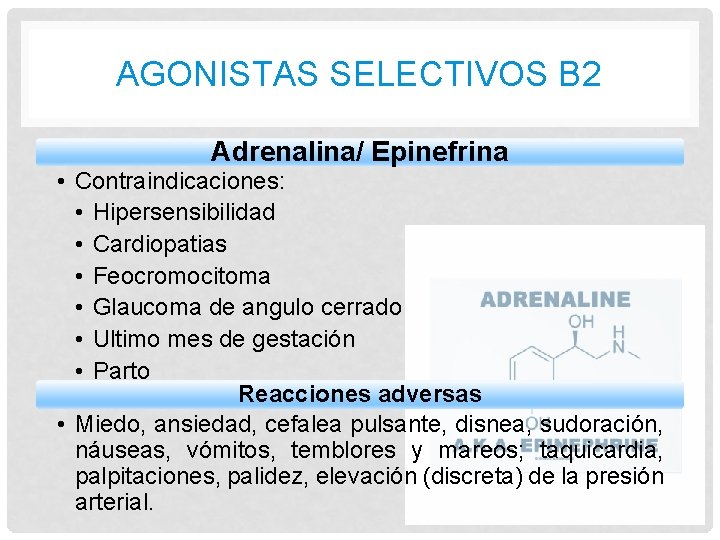 AGONISTAS SELECTIVOS B 2 Adrenalina/ Epinefrina • Contraindicaciones: • Hipersensibilidad • Cardiopatias • Feocromocitoma
