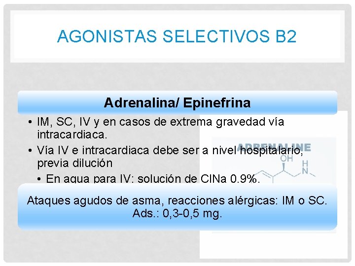 AGONISTAS SELECTIVOS B 2 Adrenalina/ Epinefrina • IM, SC, IV y en casos de