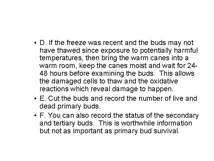  • D. If the freeze was recent and the buds may not have