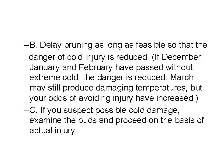 – B. Delay pruning as long as feasible so that the danger of cold