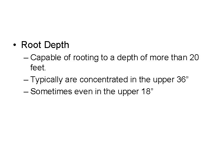  • Root Depth – Capable of rooting to a depth of more than