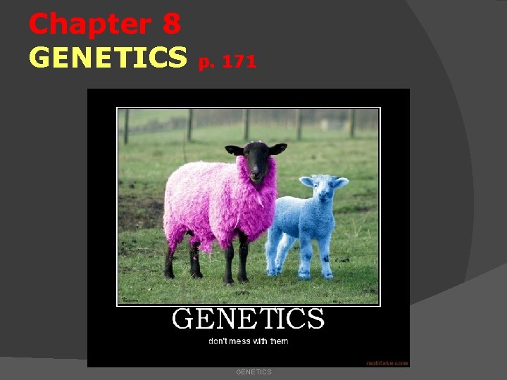 Chapter 8 GENETICS p. 171 GENETICS 