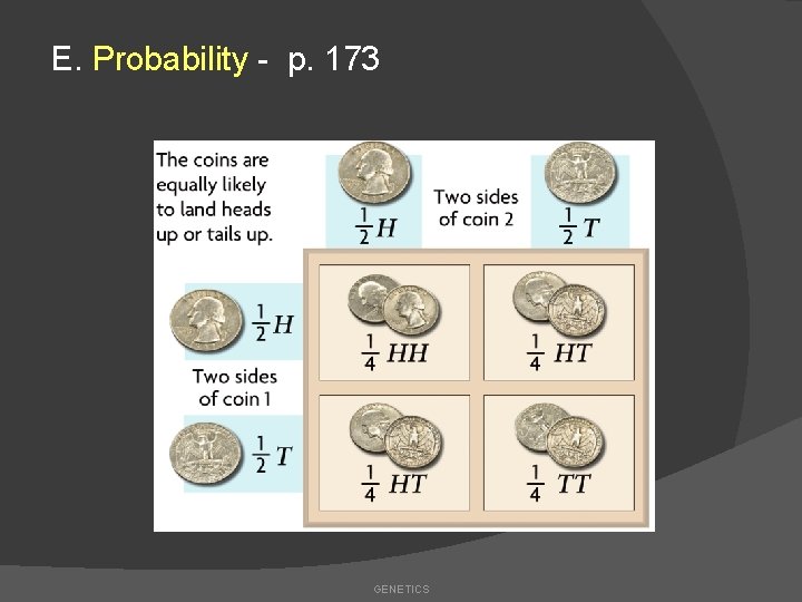 E. Probability - p. 173 GENETICS 