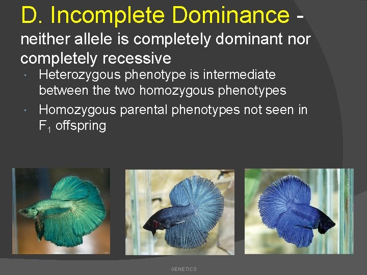 D. Incomplete Dominance neither allele is completely dominant nor completely recessive Heterozygous phenotype is