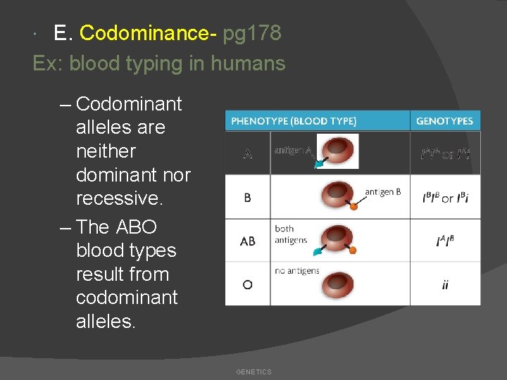 E. Codominance- pg 178 Ex: blood typing in humans – Codominant alleles are neither