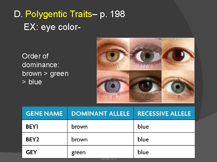 D. Polygentic Traits– p. 198 EX: eye color. Order of dominance: brown > green