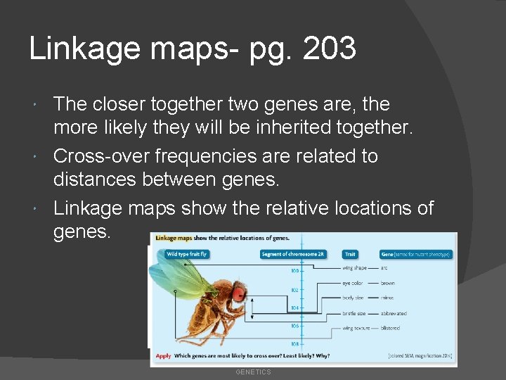 Linkage maps- pg. 203 The closer together two genes are, the more likely they