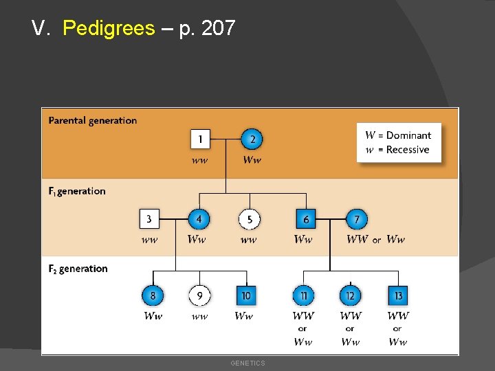 V. Pedigrees – p. 207 GENETICS 