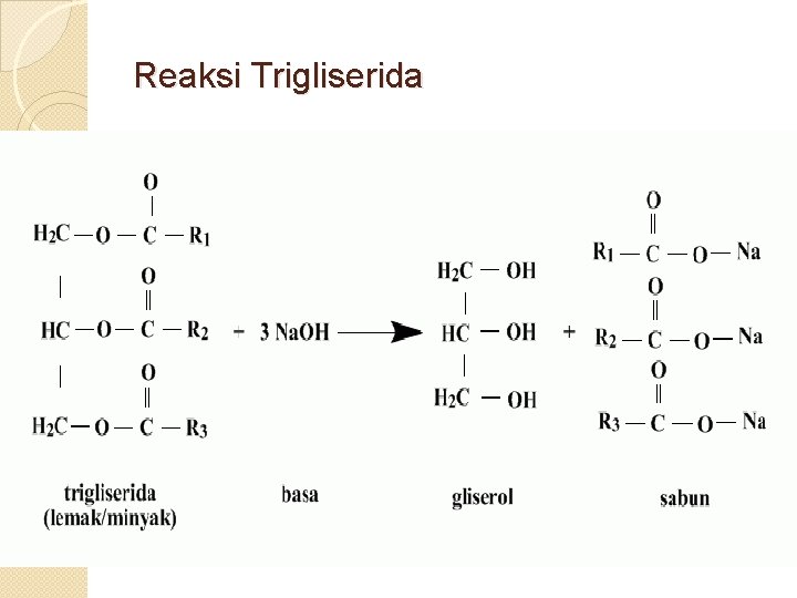 Reaksi Trigliserida 