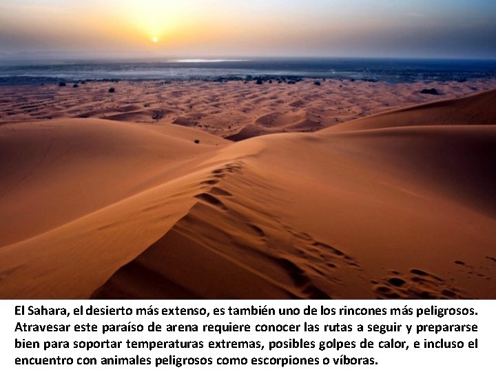 El Sahara, el desierto más extenso, es también uno de los rincones más peligrosos. El Sahara, el desierto más extenso, es también uno de los rincones más peligrosos.
