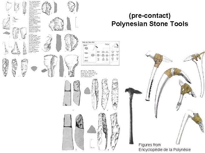 (pre-contact) Polynesian Stone Tools Figures from Encyclopédie de la Polynésie 