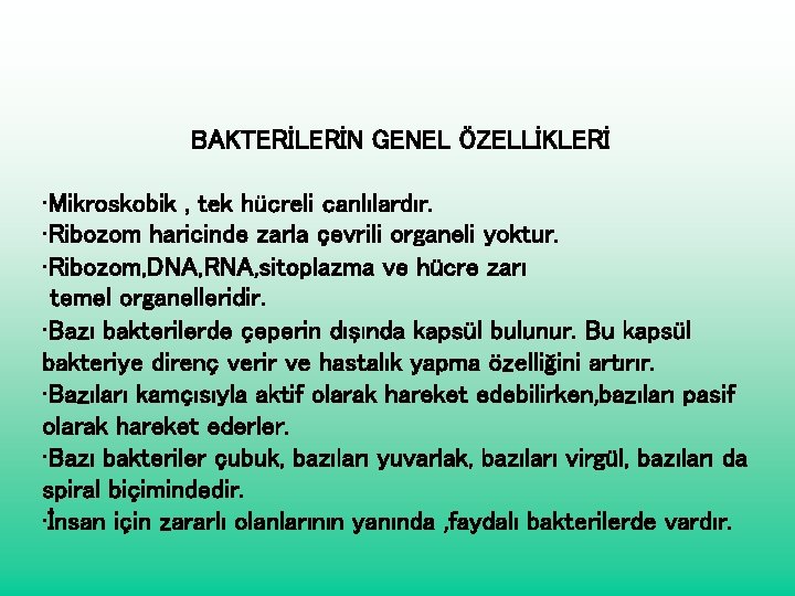 BAKTERİLERİN GENEL ÖZELLİKLERİ • Mikroskobik , tek hücreli canlılardır. • Ribozom haricinde zarla çevrili