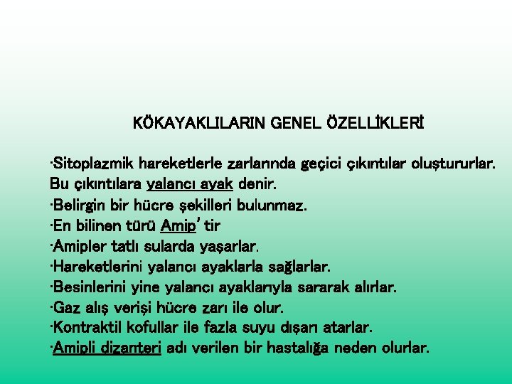 KÖKAYAKLILARIN GENEL ÖZELLİKLERİ • Sitoplazmik hareketlerle zarlarında geçici çıkıntılar oluştururlar. Bu çıkıntılara yalancı ayak