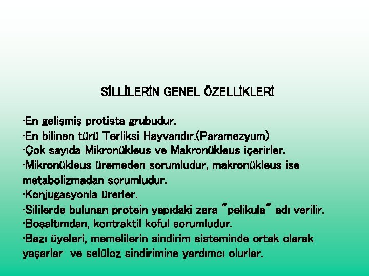 SİLLİLERİN GENEL ÖZELLİKLERİ • En gelişmiş protista grubudur. • En bilinen türü Terliksi Hayvandır.