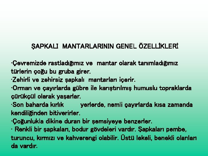 ŞAPKALI MANTARLARININ GENEL ÖZELLİKLERİ • Çevremizde rastladığımız ve mantar olarak tanımladığımız türlerin çoğu bu