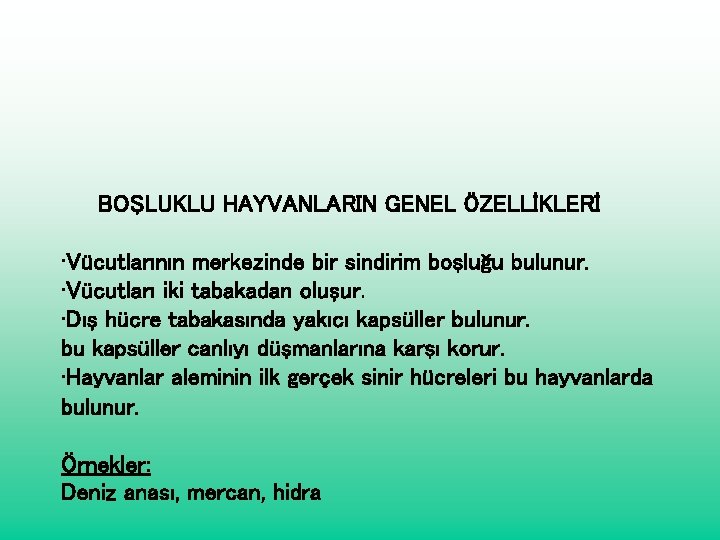 BOŞLUKLU HAYVANLARIN GENEL ÖZELLİKLERİ • Vücutlarının merkezinde bir sindirim boşluğu bulunur. • Vücutları iki