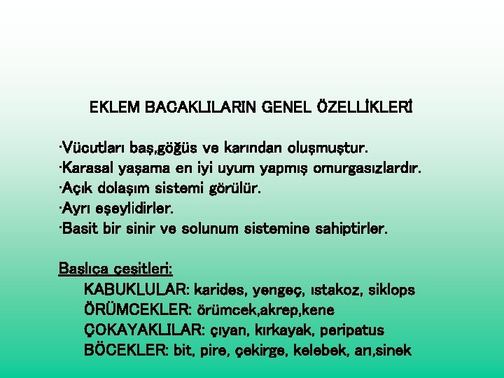 EKLEM BACAKLILARIN GENEL ÖZELLİKLERİ • Vücutları baş, göğüs ve karından oluşmuştur. • Karasal yaşama