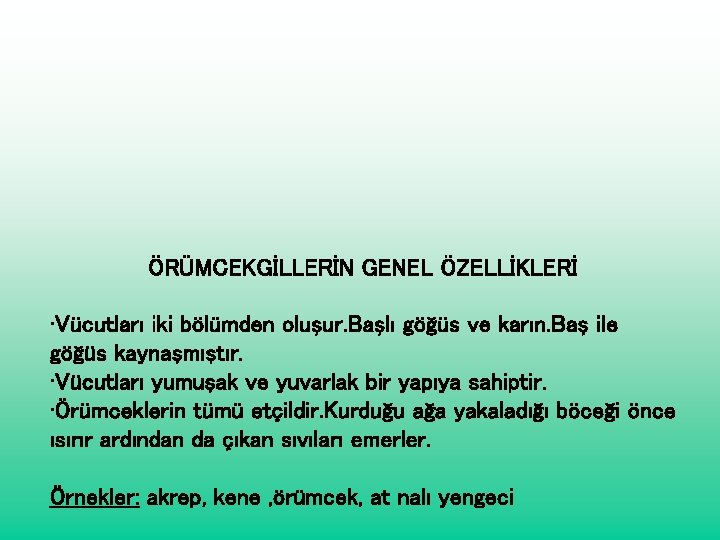 ÖRÜMCEKGİLLERİN GENEL ÖZELLİKLERİ • Vücutları iki bölümden oluşur. Başlı göğüs ve karın. Baş ile