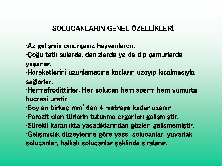 SOLUCANLARIN GENEL ÖZELLİKLERİ • Az gelişmiş omurgasız hayvanlardır. • Çoğu tatlı sularda, denizlerde ya