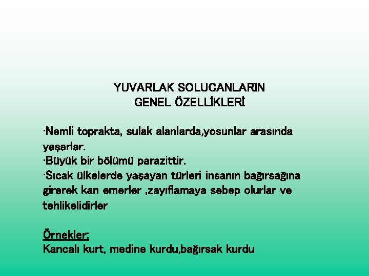 YUVARLAK SOLUCANLARIN GENEL ÖZELLİKLERİ • Nemli toprakta, sulak alanlarda, yosunlar arasında yaşarlar. • Büyük