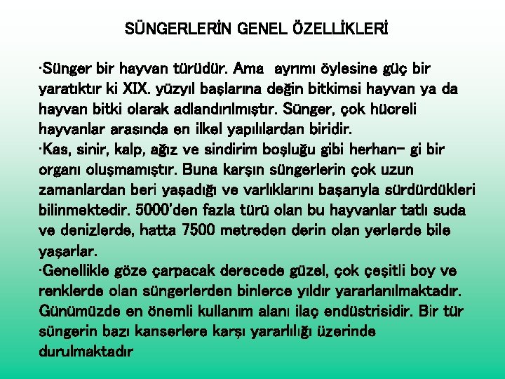 SÜNGERLERİN GENEL ÖZELLİKLERİ • Sünger bir hayvan türüdür. Ama ayrımı öylesine güç bir yaratıktır