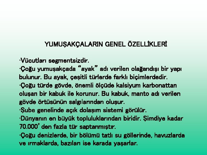 YUMUŞAKÇALARIN GENEL ÖZELLİKLERİ • Vücutları segmentsizdir. • Çoğu yumuşakçada “ayak” adı verilen olağandışı bir