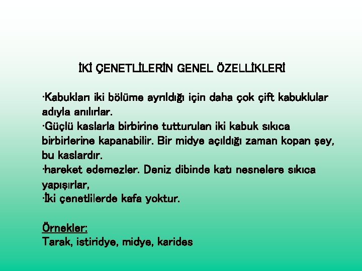 İKİ ÇENETLİLERİN GENEL ÖZELLİKLERİ • Kabukları iki bölüme ayrıldığı için daha çok çift kabuklular