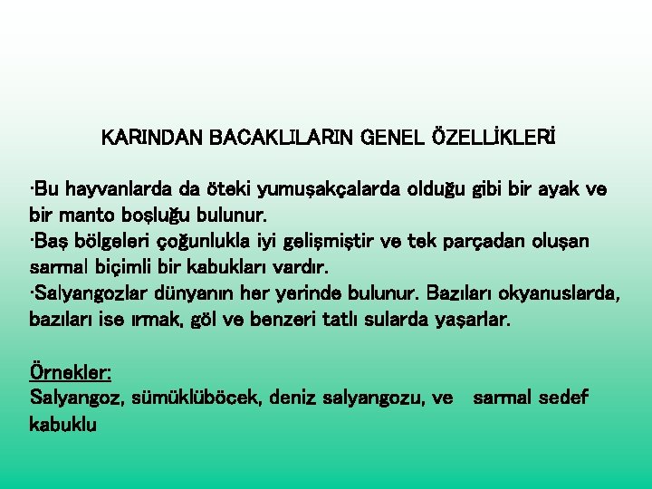 KARINDAN BACAKLILARIN GENEL ÖZELLİKLERİ • Bu hayvanlarda da öteki yumuşakçalarda olduğu gibi bir ayak