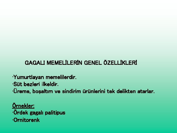 GAGALI MEMELİLERİN GENEL ÖZELLİKLERİ • Yumurtlayan memelilerdir. • Süt bezleri ilkeldir. • Üreme, boşaltım