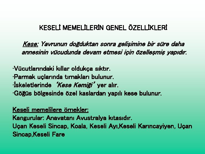 KESELİ MEMELİLERİN GENEL ÖZELLİKLERİ Kese: Yavrunun doğduktan sonra gelişimine bir süre daha annesinin vücudunda