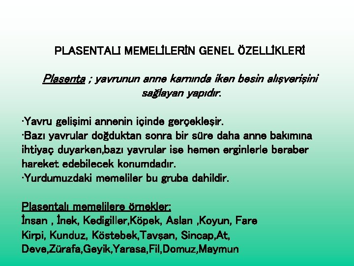 PLASENTALI MEMELİLERİN GENEL ÖZELLİKLERİ Plasenta ; yavrunun anne karnında iken besin alışverişini sağlayan yapıdır.