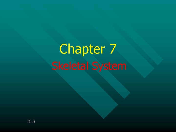 Chapter 7 Skeletal System 7 -2 