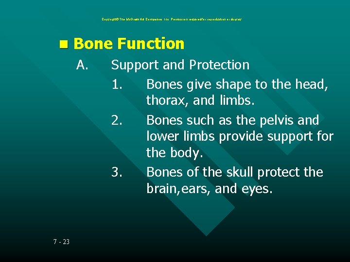 Copyright The Mc. Graw-Hill Companies, Inc. Permission required for reproduction or display. Bone Function