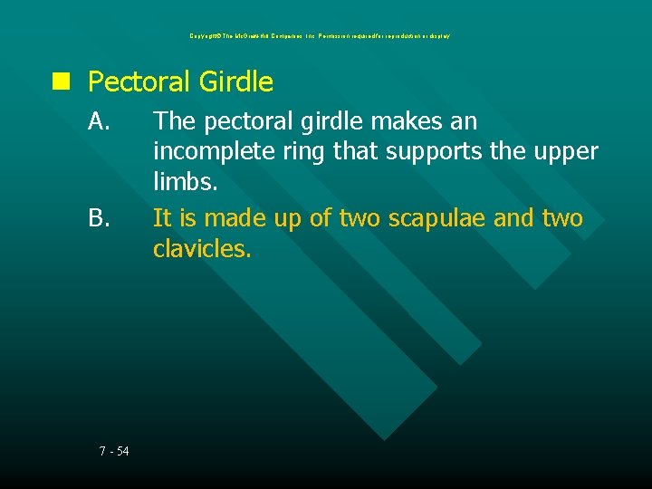 Copyright The Mc. Graw-Hill Companies, Inc. Permission required for reproduction or display. Pectoral Girdle