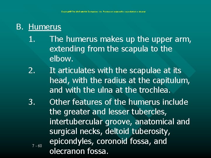 Copyright The Mc. Graw-Hill Companies, Inc. Permission required for reproduction or display. B. Humerus