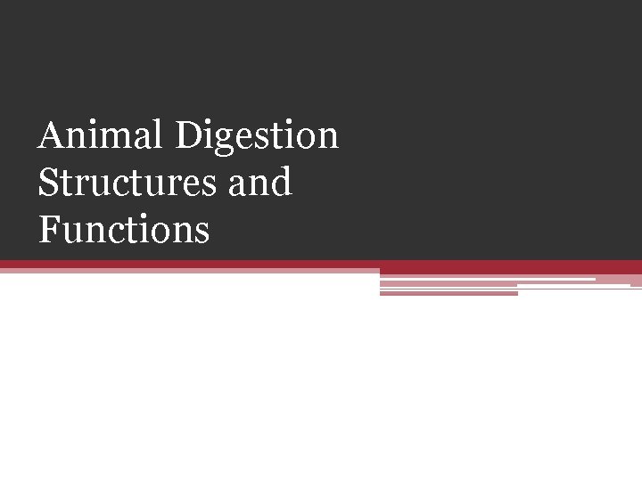 Animal Digestion Structures and Functions 