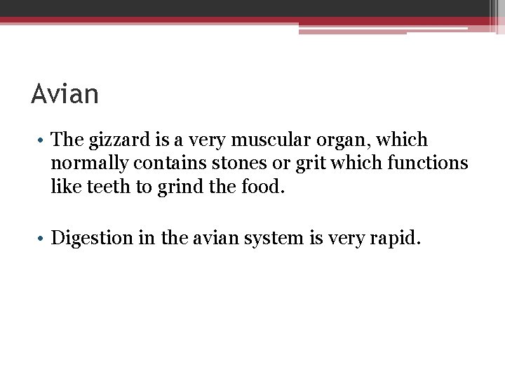 Avian • The gizzard is a very muscular organ, which normally contains stones or
