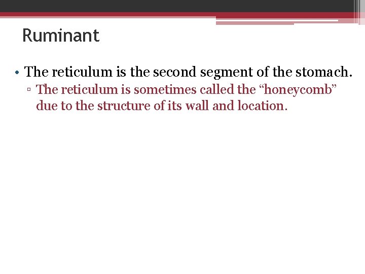 Ruminant • The reticulum is the second segment of the stomach. ▫ The reticulum