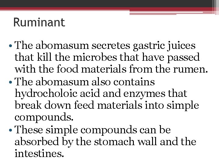 Ruminant • The abomasum secretes gastric juices that kill the microbes that have passed