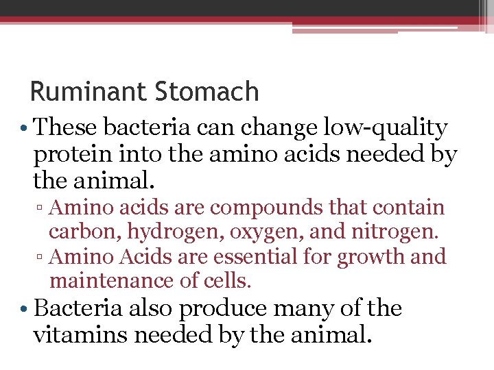 Ruminant Stomach • These bacteria can change low-quality protein into the amino acids needed