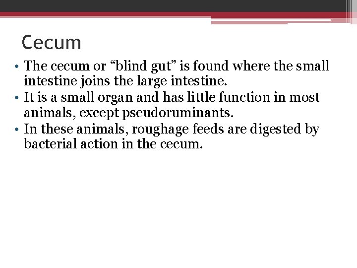 Cecum • The cecum or “blind gut” is found where the small intestine joins