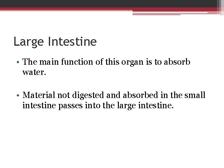 Large Intestine • The main function of this organ is to absorb water. •