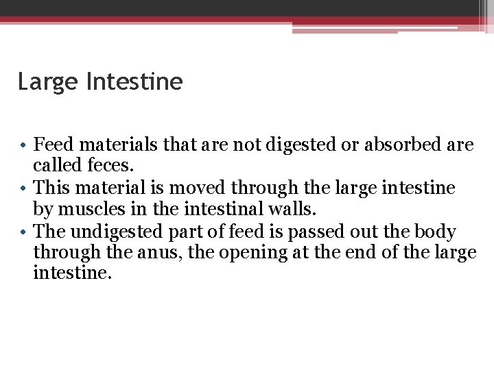 Large Intestine • Feed materials that are not digested or absorbed are called feces.