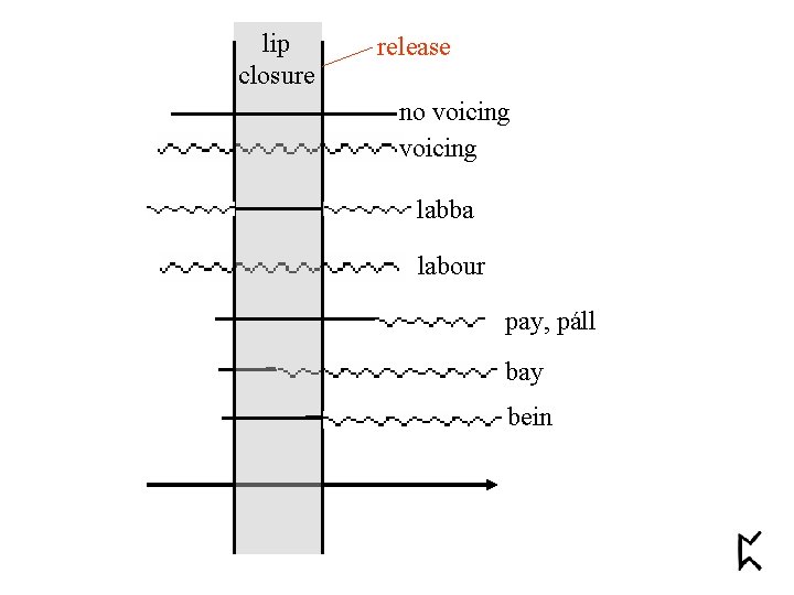 lip closure release no voicing labba labour pay, páll bay bein 