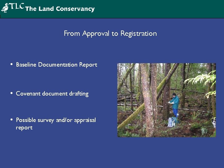 From Approval to Registration • Baseline Documentation Report • Covenant document drafting • Possible