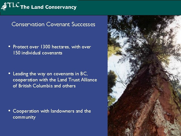Conservation Covenant Successes • Protect over 1300 hectares, with over 150 individual covenants •