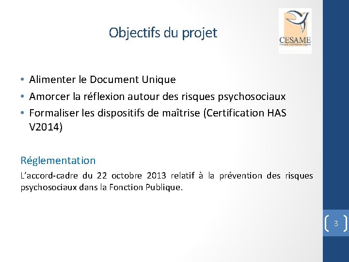 Objectifs du projet • Alimenter le Document Unique • Amorcer la réflexion autour des